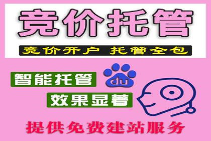 信息流广告的精准定位与效果优化案例分析